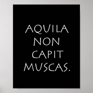 Aquila non capit muscas poster