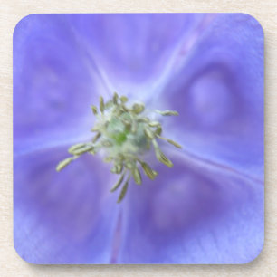 Aquilegia Flower Cork Coaster