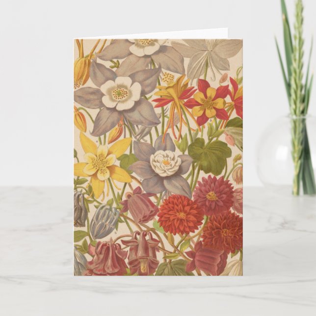 Aquilegia | George Nicholson Card (Front)