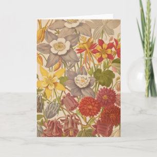 Aquilegia George Nicholson Card
