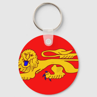 Aquitaine, France flag Key Ring