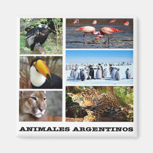 AR - Argentina - Animals Argentinos Mosaic Collage Magnet