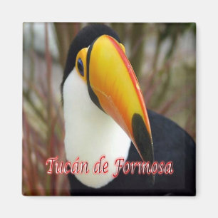 AR - Argentina - Toucan Formosa Magnet