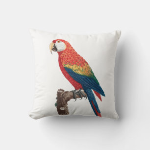 Ara Canga Parrot Cushion