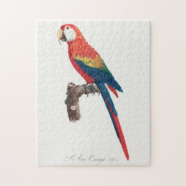 Ara Canga Parrot Jigsaw Puzzle (Vertical)