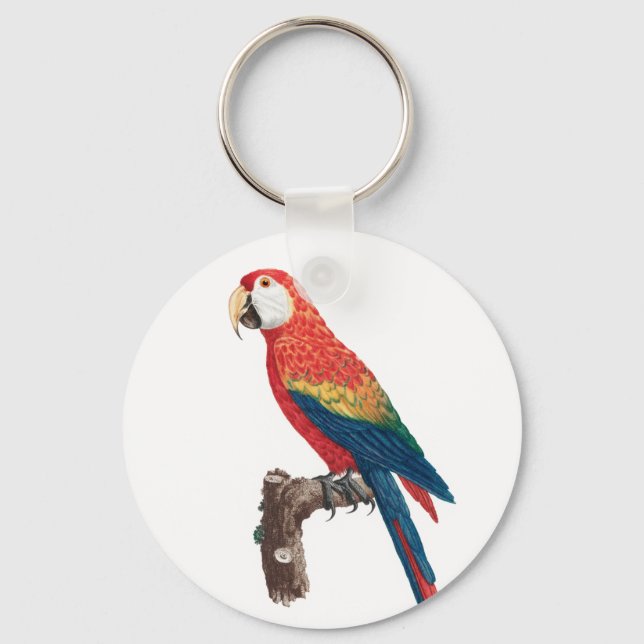 Ara Canga Parrot Key Ring (Front)