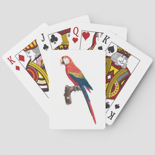 Ara Canga Parrot Playing Cards (Back)