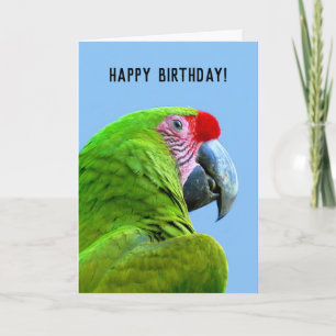 Ara Militaris Green Parrot Card