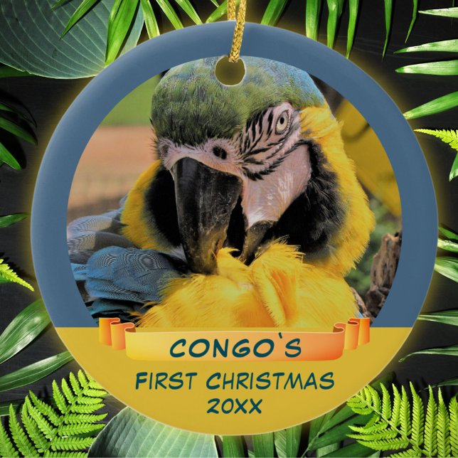 Ara Parrot Pet 1st Christmas Ribbon Photo Ceramic Ornament (Creator Uploaded)