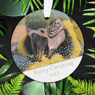 Ara Parrot Pet Photo Star Christmas Keepsake Ornament