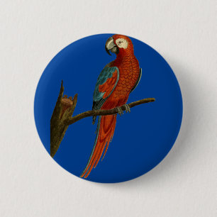 Ara red parrot 6 cm round badge