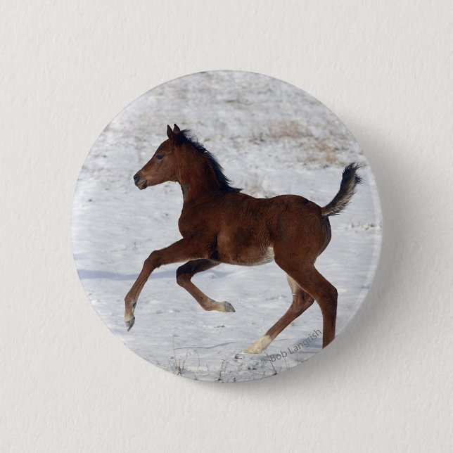 Arab Foal in the Snow 6 Cm Round Badge (Front)