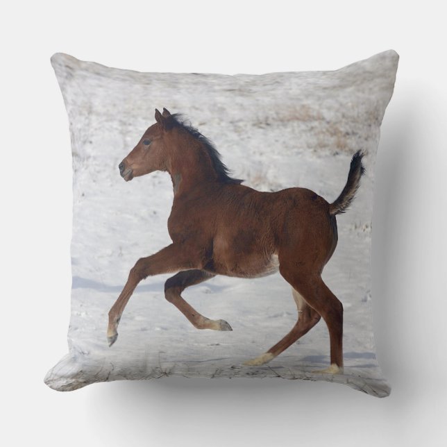 Arab Foal in the Snow Cushion (Front)