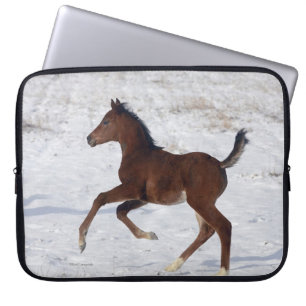 Arab Foal in the Snow Laptop Sleeve