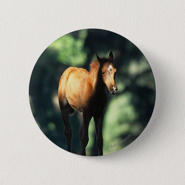 Arab Foal in the Trees 6 Cm Round Badge (Front)