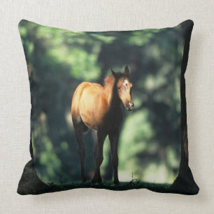 Arab Foal in the Trees Cushion