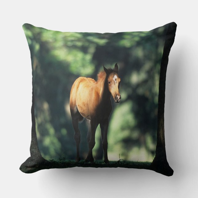 Arab Foal in the Trees Cushion (Front)
