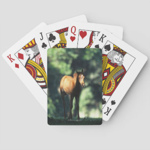 Arab Foal in the Trees Playing Cards