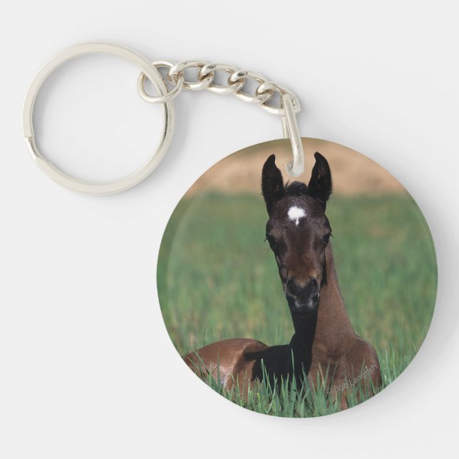 Arab Foal Laying Down Key Ring (Front)