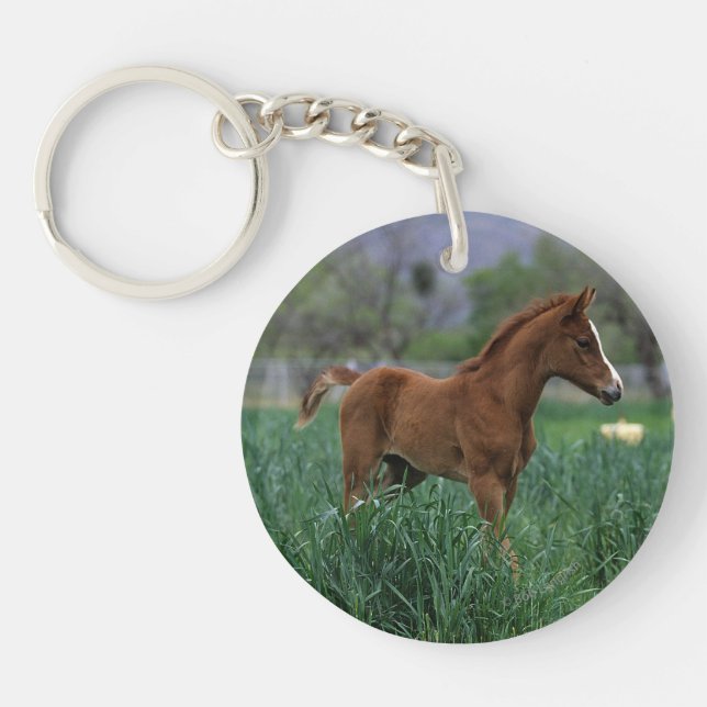 Arab Foal Standing Key Ring (Front)