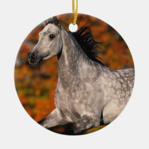 Arab Horse: Autumn 1 Ceramic Tree Decoration