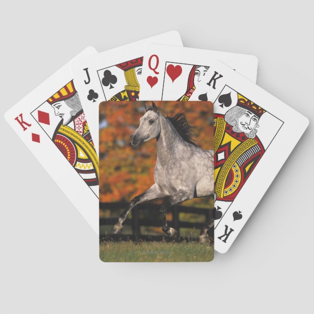 Arab Horse: Autumn 1 Playing Cards (Back)