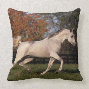 Arab Horse: Autumn 2 Cushion