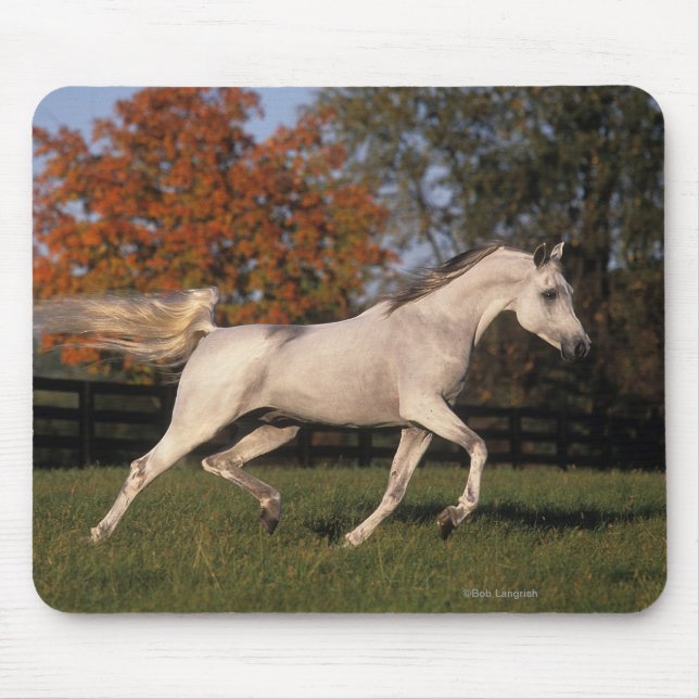 Arab Horse: Autumn 2 Mouse Pad (Front)
