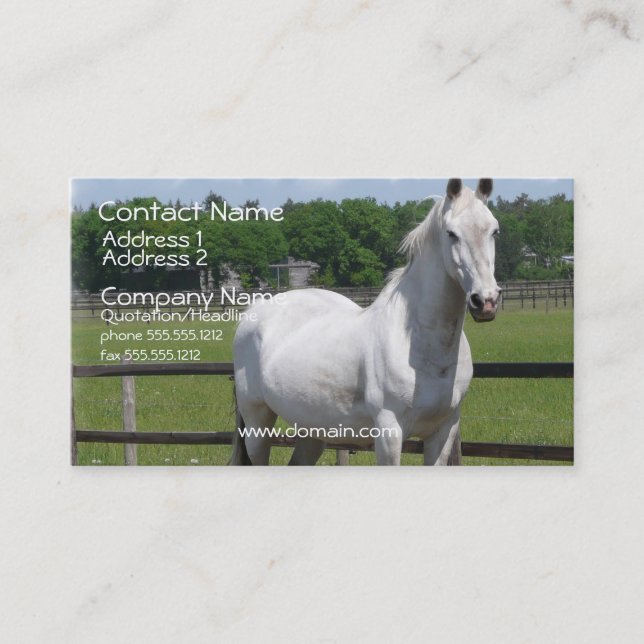 Arab Horse Business Card (Front)