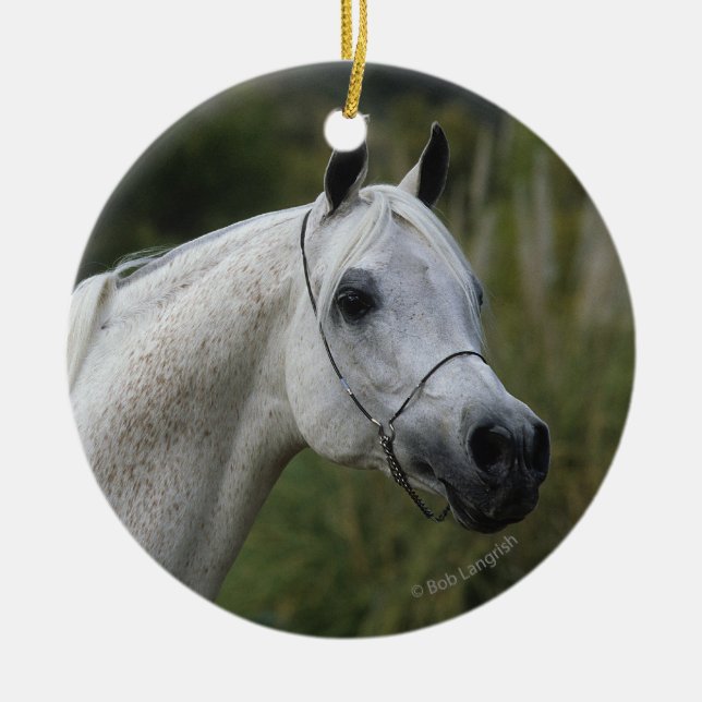 Arab Horse Headshot 1 Ceramic Ornament (Front)