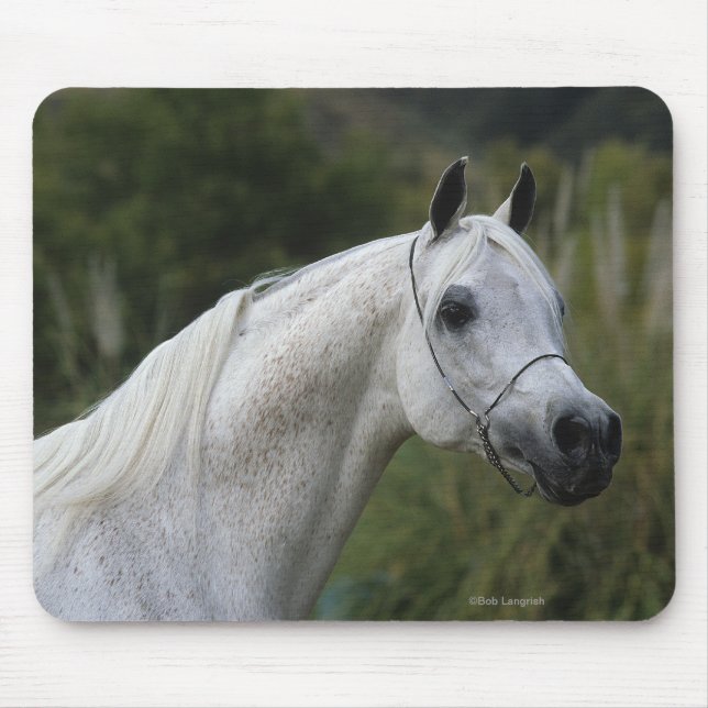 Arab Horse Headshot 1 Mouse Pad (Front)