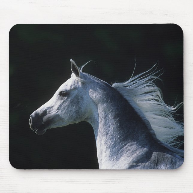 Arab Horse Headshot 2 Mouse Pad (Front)