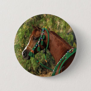 Arab Horse Headshot with Bridle 6 Cm Round Badge