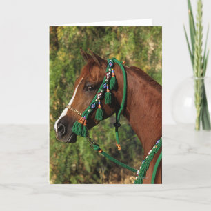 Arab Horse Headshot with Bridle Card