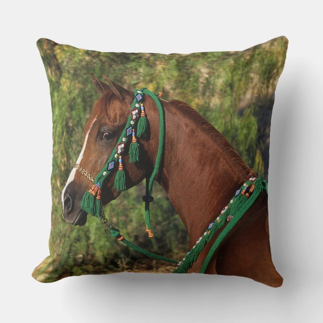 Arab Horse Headshot with Bridle Cushion (Front)