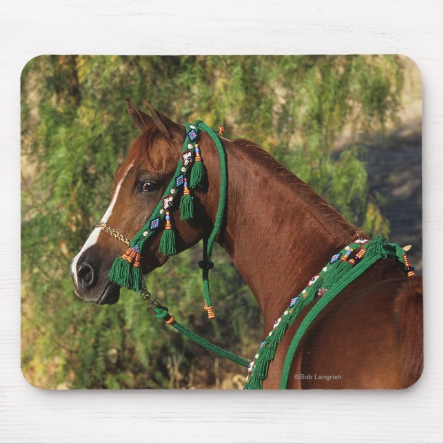 Arab Horse Headshot with Bridle Mouse Pad (Front)