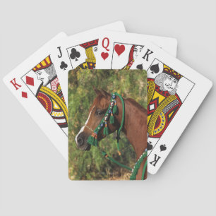 Arab Horse Headshot with Bridle Playing Cards