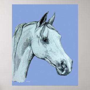 Arab Horse Pencil Portrait on Blue Background Poster