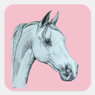 Arab Horse Pencil Portrait on Pink Background Square Sticker