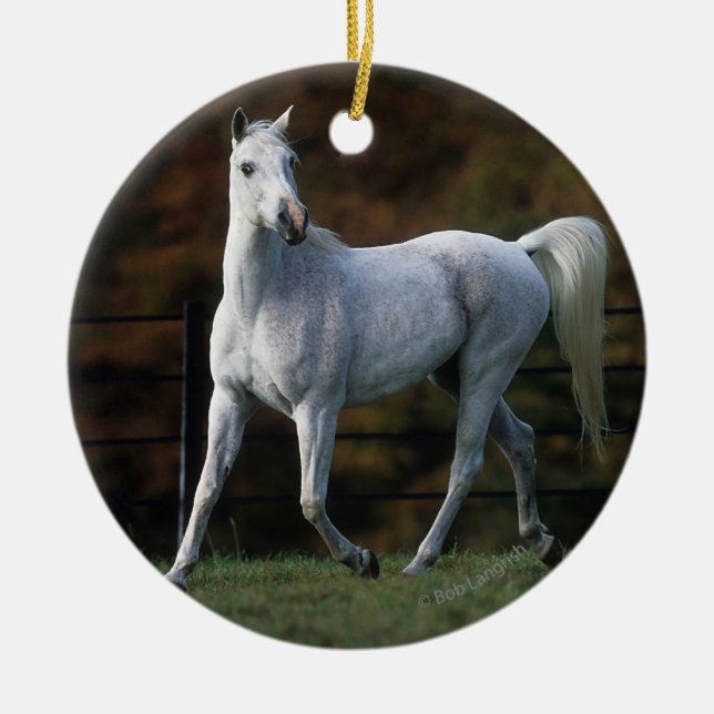 Arab Horse Running 1 Ceramic Tree Decoration (Front)