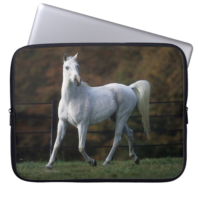 Arab Horse Running 1 Laptop Sleeve (Front)