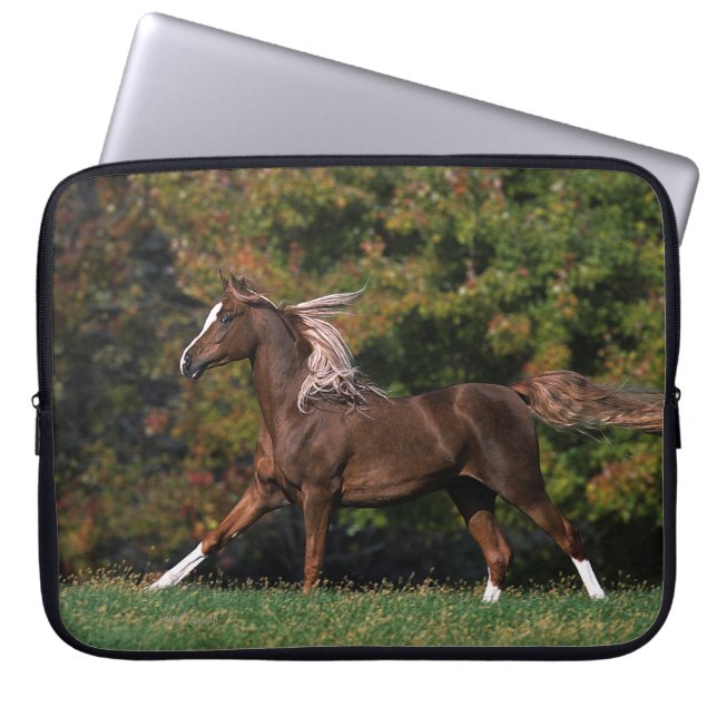 Arab Horse Running in Grassy Field Laptop Sleeve (Front)