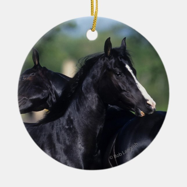 Arab Horse Scratching Ceramic Ornament (Front)