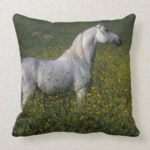 Arab Horse Standing in Flowers Cushion
