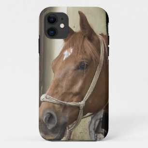 Arab Horses iPhone 11 Case