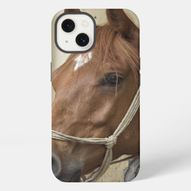 Arab Horses iPhone Case (Back)