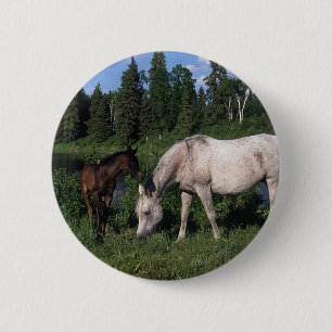 Arab Mare & Foal 2 6 Cm Round Badge