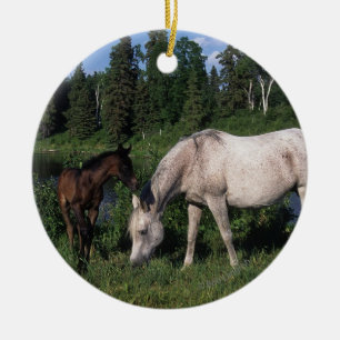 Arab Mare & Foal 2 Ceramic Tree Decoration