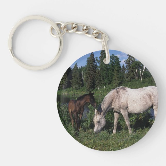 Arab Mare & Foal 2 Key Ring (Front)