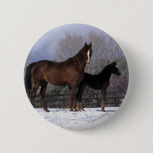 Arab Mare & Foal in Snow 6 Cm Round Badge
